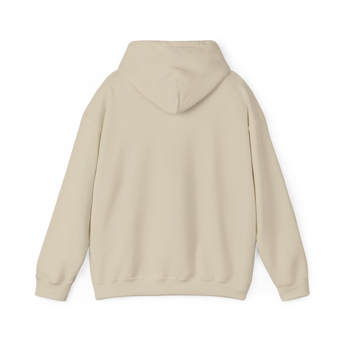 theta sand bear hoodie