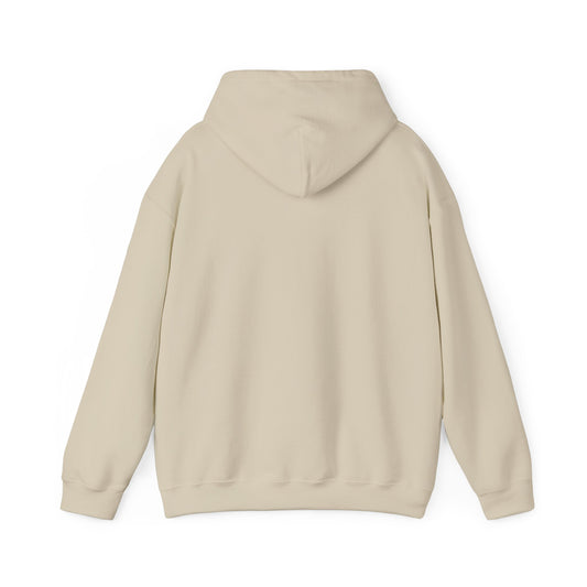 theta sand bear hoodie