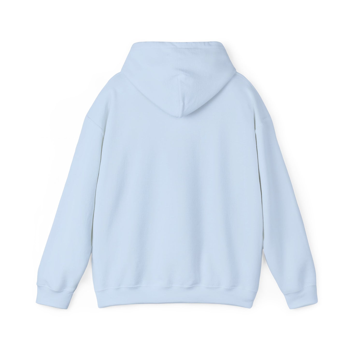 skyebysofia light blue hoodie