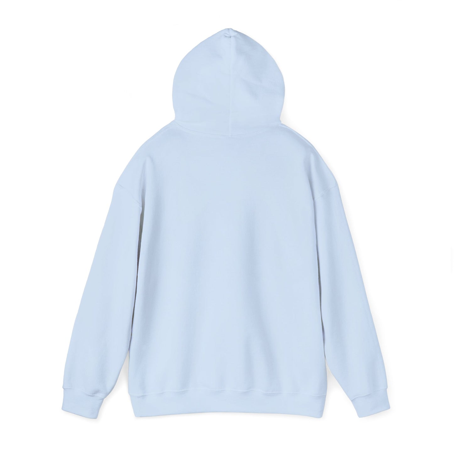 skyebysofia light blue hoodie