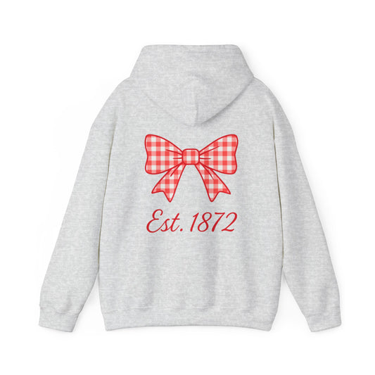 skyebysofia aphi grey hoodie