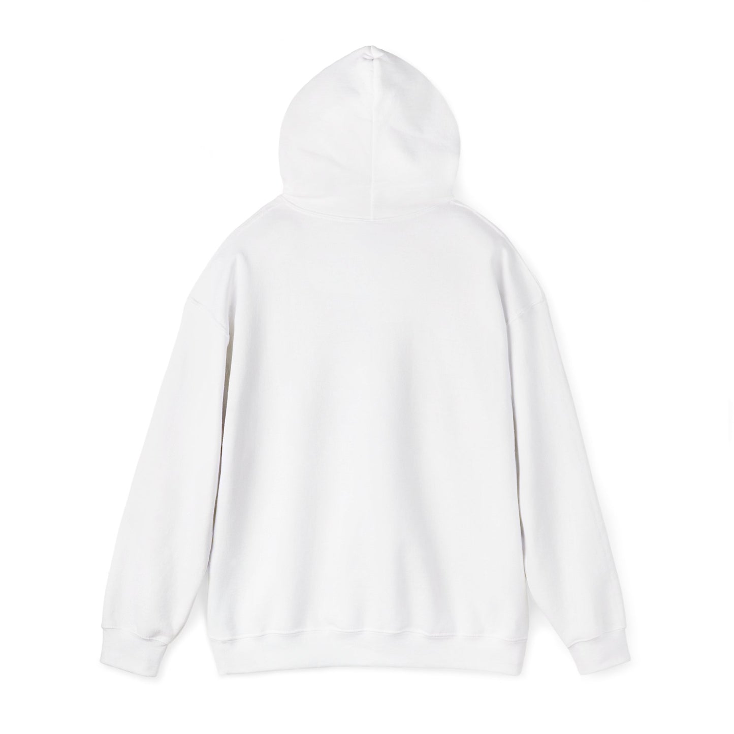 skyebysofia pastel hoodie