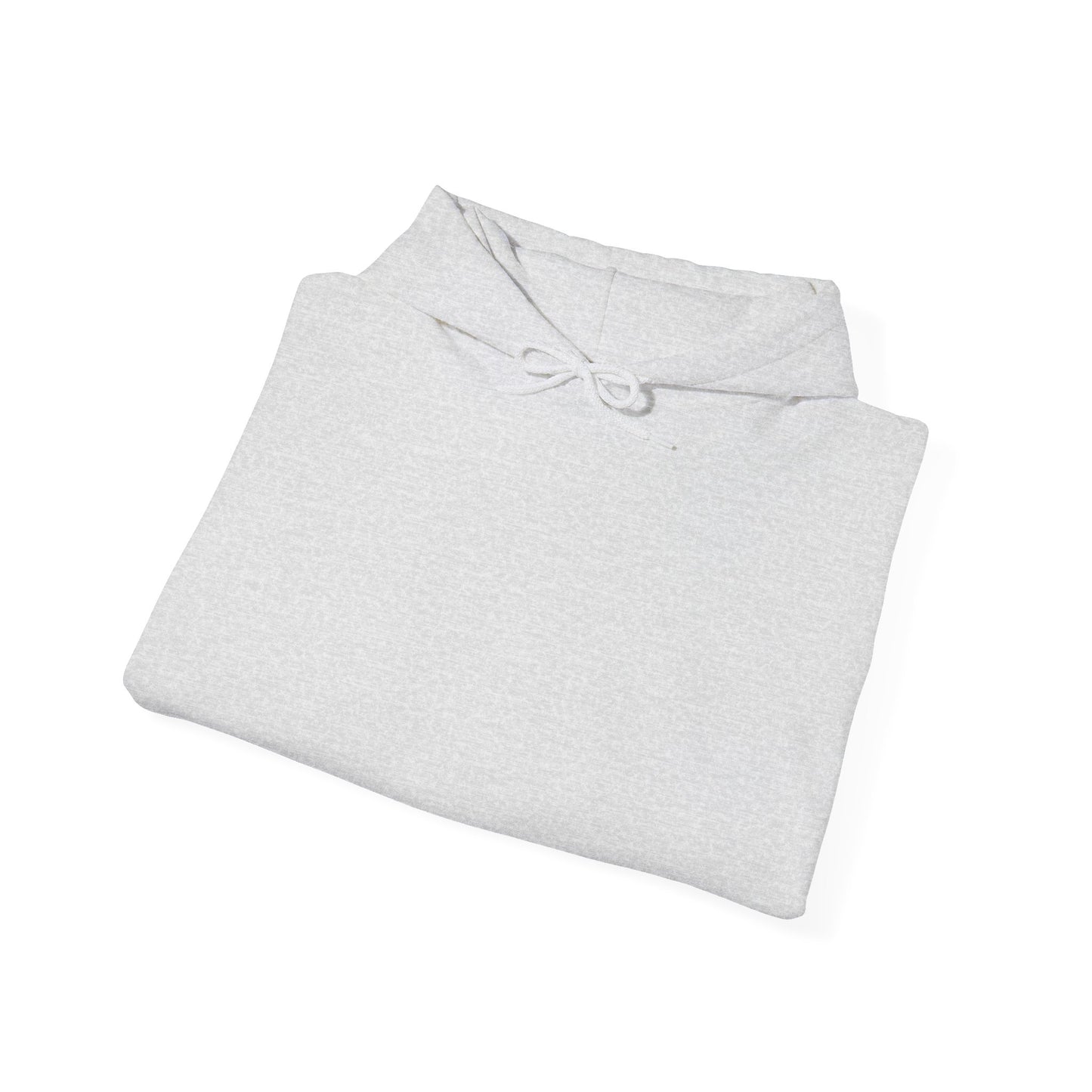 skyebysofia cheetah with martini grey hoodie