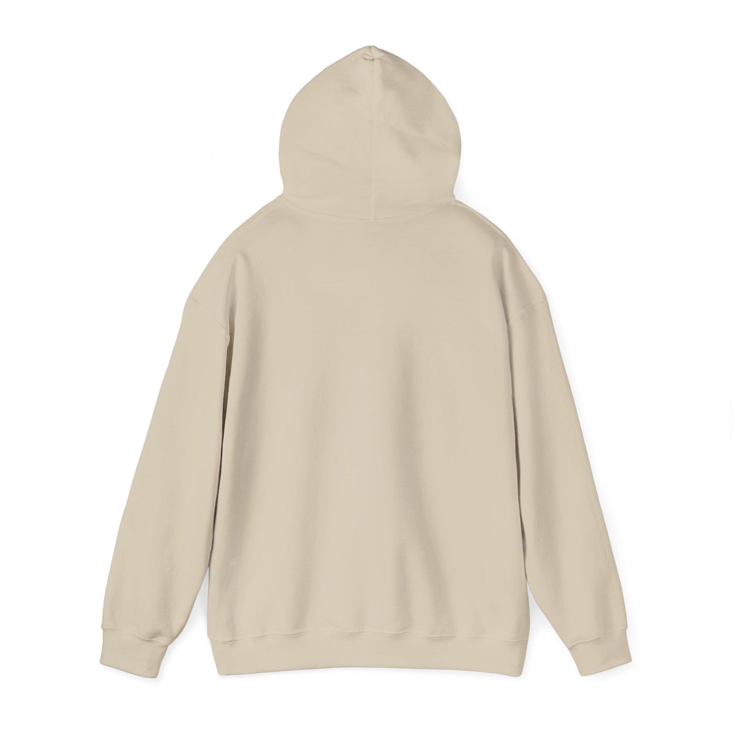 theta sand bear hoodie