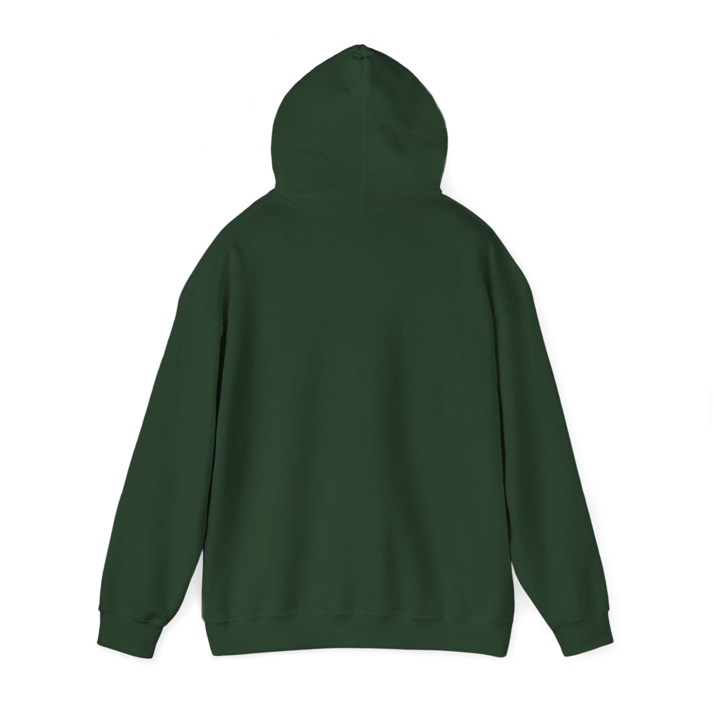 skyebysofia red and green plaid letters hoodie