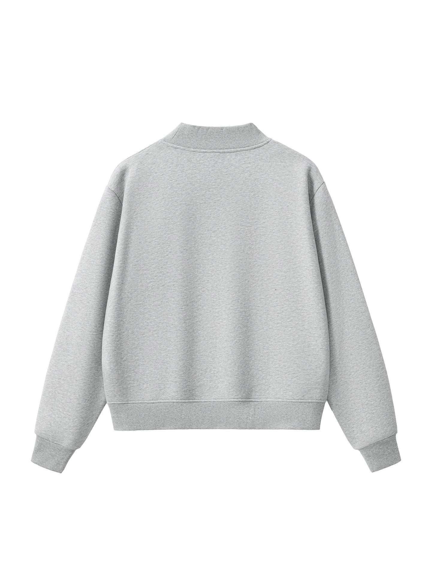 Springfield Wellness Society Mockneck - Grey